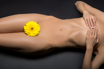 Image showing beautiful woman naked body with flower between legs 