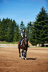 Image showing beautiful girl with horse