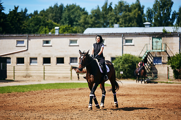 Image showing beautiful girl with horse