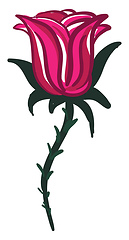 Image showing A red rose branch vector or color illustration