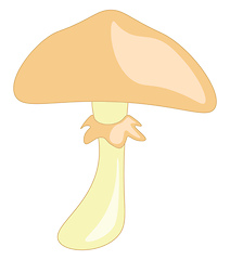 Image showing An umbrella shaped fungi vector or color illustration