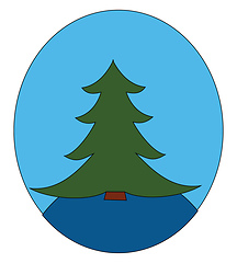 Image showing A spruce tree/Xmas tree vector or color illustration