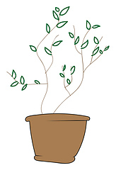 Image showing Line art of an earthen pot with green leaves vector or color ill