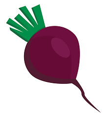 Image showing A farm fresh round red vegetable called radish with green stem v