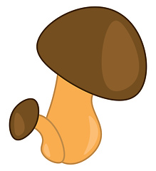 Image showing A mushroom plant with a dark brown cap and a light brown stem an