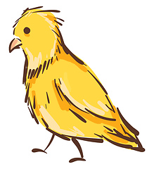 Image showing Vector illustration of a yellow canary bird on white background.