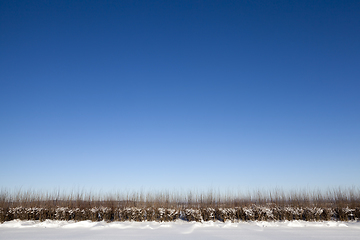 Image showing Snowdrifts in winter