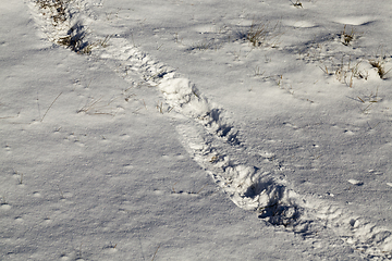 Image showing Snow drifts in winter