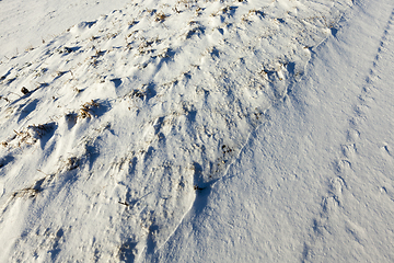 Image showing land under the snow