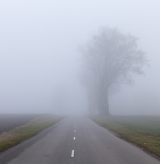 Image showing Asphalt road into the fog