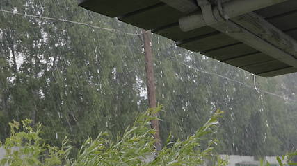 Image showing Heavy rain shower in the sunshine of springtime or summer nature