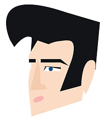 Image showing Elvis Presley hair style vector or color illustration