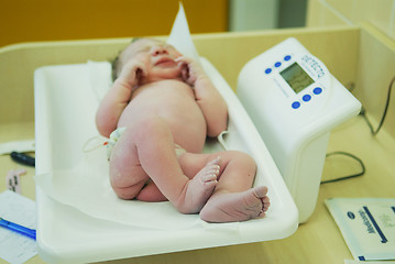 Image showing Baby