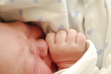 Image showing Baby