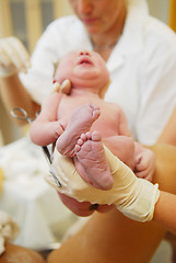 Image showing A neonate