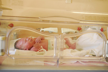 Image showing Baby