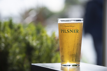 Image showing Pint of Beer