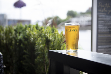 Image showing Pint of Beer