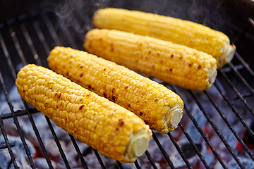 Image showing close up of corn roasting on grill