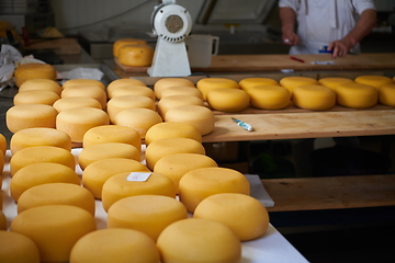 Image showing Cheese factory production shelves with aging old cheese