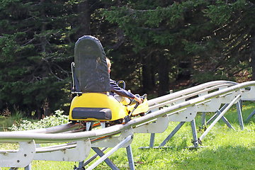 Image showing Little boy enjoying a summer fun roller alpine coaster ride