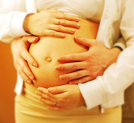 Image showing Pregnancy