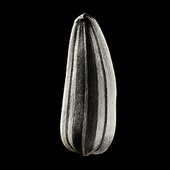 Image showing Macro shot of seed on isolated black background, close-up