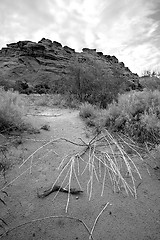 Image showing Looking into the Redrocks in Snow Canyon - Utah