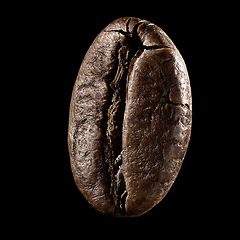 Image showing Macro shot of seed on isolated black background, close-up