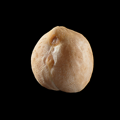 Image showing Macro shot of seed on isolated black background, close-up