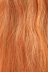 Image showing Brown hair