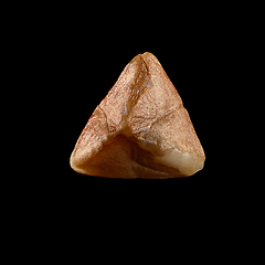 Image showing Macro shot of seed on isolated black background, close-up