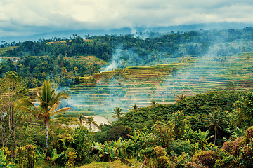 Image showing typical beautiful Rice terraced paddy fields