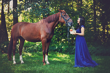 Image showing beautiful girl in dress with horse