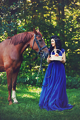 Image showing beautiful girl in dress with horse