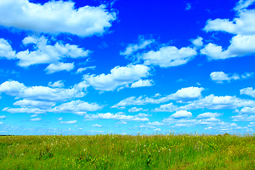 Image showing summer meadow and blue sky with white clouds.