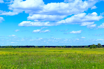 Image showing summer meadow and blue sky with white clouds.