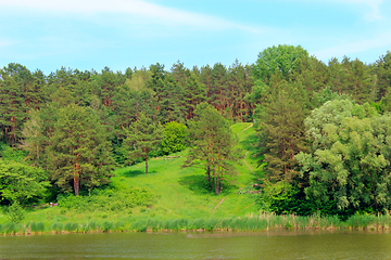Image showing forest and river
