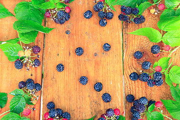 Image showing still life from black raspberry and green leaves