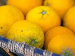 Image showing oranges