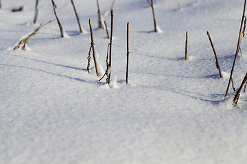 Image showing Snow drifts in winter