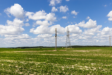 Image showing Summertime landscape