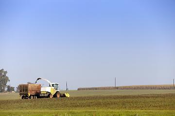 Image showing Harvesting the corn field