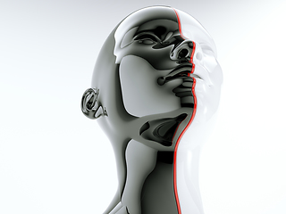 Image showing human head separated by red line as symbol of balance and divers