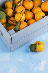Image showing Fresh tangerines in box with leaves