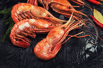 Image showing Closeup of far eastern botan shrimp