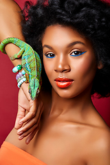 Image showing beautiful girl with chameleon