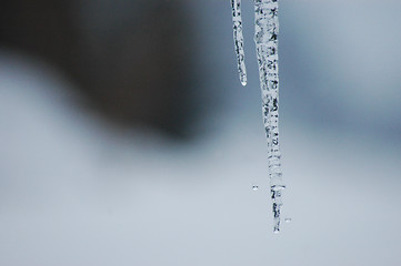 Image showing Icicle