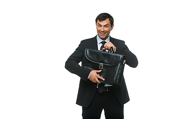 Image showing handsome businessman in suit with briefcase