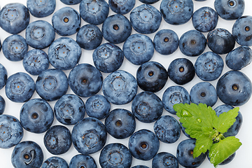 Image showing blueberry berries isolated on white background